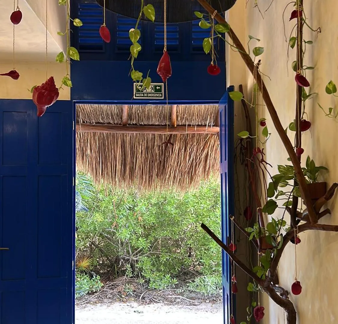 Sunsteps Suites Casa Holbox 0*, Isla Holbox