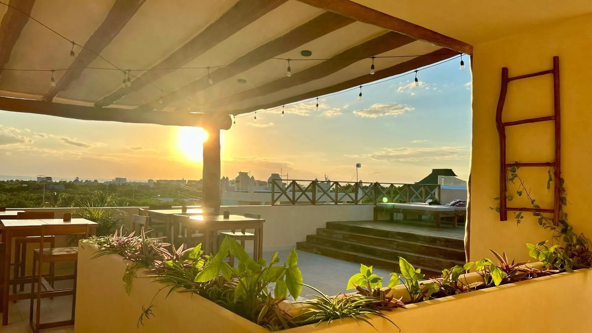 Sunsteps Suites Casa Holbox Mexico